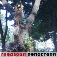Гледаоци репортери (27. јун 2013)