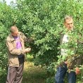 Живот у Мерошини