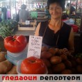 Гледаоци репортери (4. јул 2013)