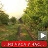 Дрвокрадице са калашњиковом