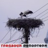 Гледаоци репортери (9. јул 2013)