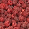 Малинари ипак задовољни