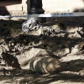 Стара бомба евакуише центар Будимпеште