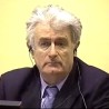 Радиновић: Караџић имао стратешку команду