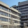 Александру Митровићу притвор до месец дана 