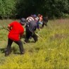Квадратура круга