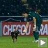 Пас који је волео фудбал