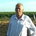 Домаћа памет, светске паре