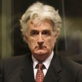 Тужилаштво побијало исказ вештака одбране
