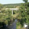 Косаница није марила, а сад је пресушила