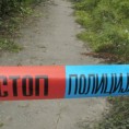 Утопио се у Западној Морави