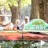 Таксиста све више, посла све мање