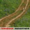 Гледаоци репортери (12. август 2013)