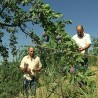 Повратници вратили живот у село  