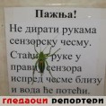 Гледаоци репортери (15. август 2013)