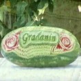 Грађанин
