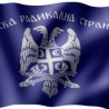 СРС неће учествовати на косовским изборима