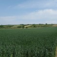 Фамилиологија