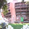 Бесплатно лечење за дијабетичаре