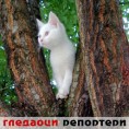 Гледаоци репортери (29. август 2013)