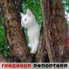 Гледаоци репортери (30. август 2013)