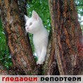Гледаоци репортери (30. август 2013)