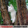 Гледаоци репортери (2. септембар 2013)