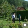 Дијаспора помаже деци у Србији