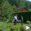 Дијаспора помаже деци у Србији