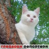 Гледаоци репортери (16. септембар 2013)