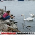 Гледаоци репортери (17. септембар 2013)