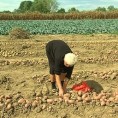 Породични посао 