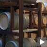 Винарке из Сувог Дола