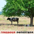Гледаоци репортери (28. септембар 2013)