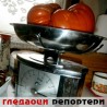 Гледаоци репортери (29. септембар 2013)