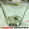 Гледаоци репортери (3. октобар 2013)