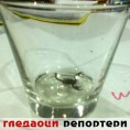 Гледаоци репортери (3. октобар 2013)