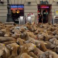 "Протест" оваца у Мадриду