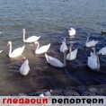 Гледаоци репортери (9. октобар 2013)