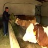 Помоћ пољопривредницима