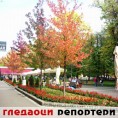 Гледаоци репортери (14. октобар 2013)