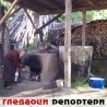Гледаоци репортери (15. октобар 2013)
