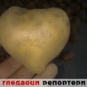 Гледаоци репортери (16. октобар 2013)