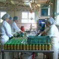 Довољно хране, али мањи извоз
