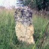 Енциклопедија за радознале 