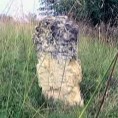 Енциклопедија за радознале 