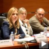 Расправа о закону о електронским медијима