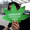 Уругвај покреће државну индустрију марихуане?