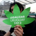 Уругвај покреће државну индустрију марихуане?