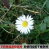 Гледаоци репортери (24. октобар 2013)